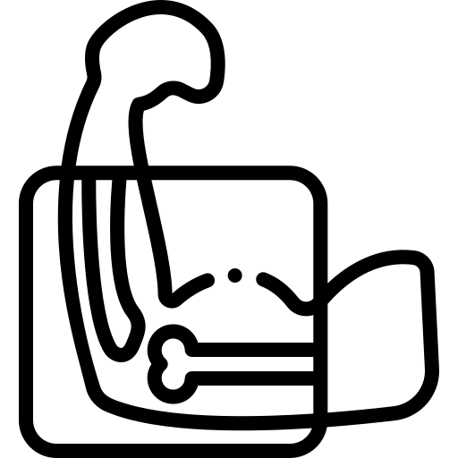 desktop bone icon