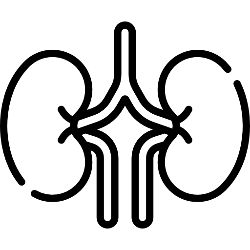 desktop kidney icon