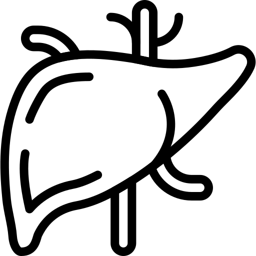 desktop liver icon