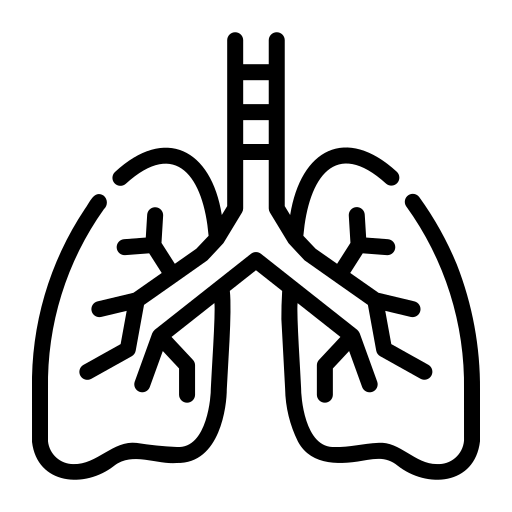 desktop lungs icon