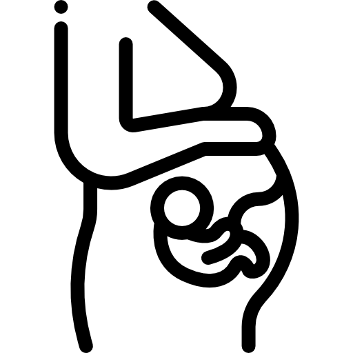 desktop pregnant icon