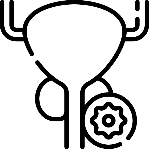dekstop prostate icon